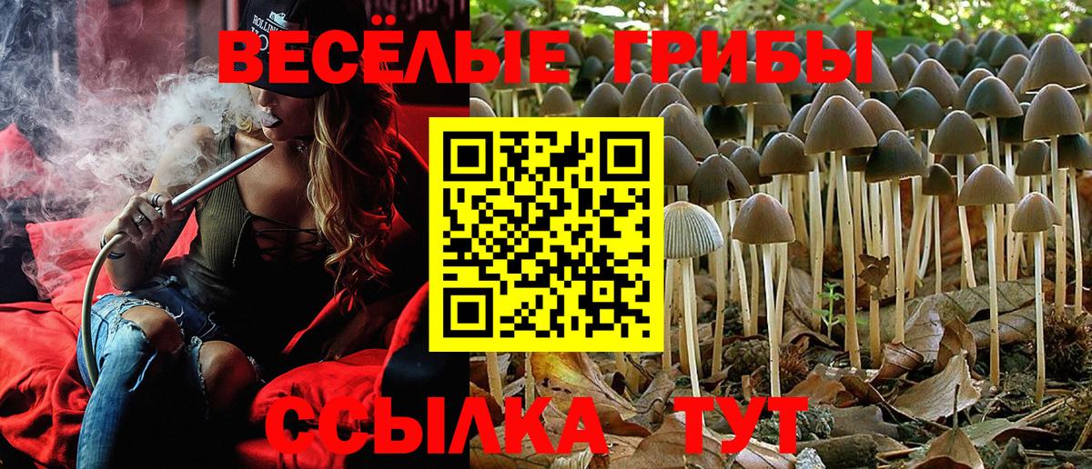 Черкесск  Галлюциногенные грибы мицелий  Вход с VPN  Псилоцибиновые грибы MAGIC MUSHROOMS 